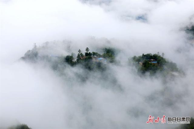 「雲看甘肅」霧繞農舍詩意濃 黃葉滿山醉炊煙 武都區東坪村的秋色是