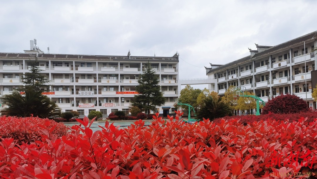 最美家乡推荐官之"最美校园"