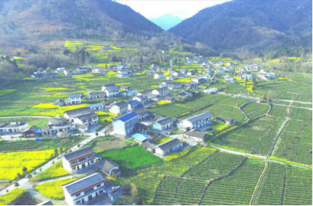 巡礼广元市青川县坚持1436工作思路铺就民族团结强富美之路