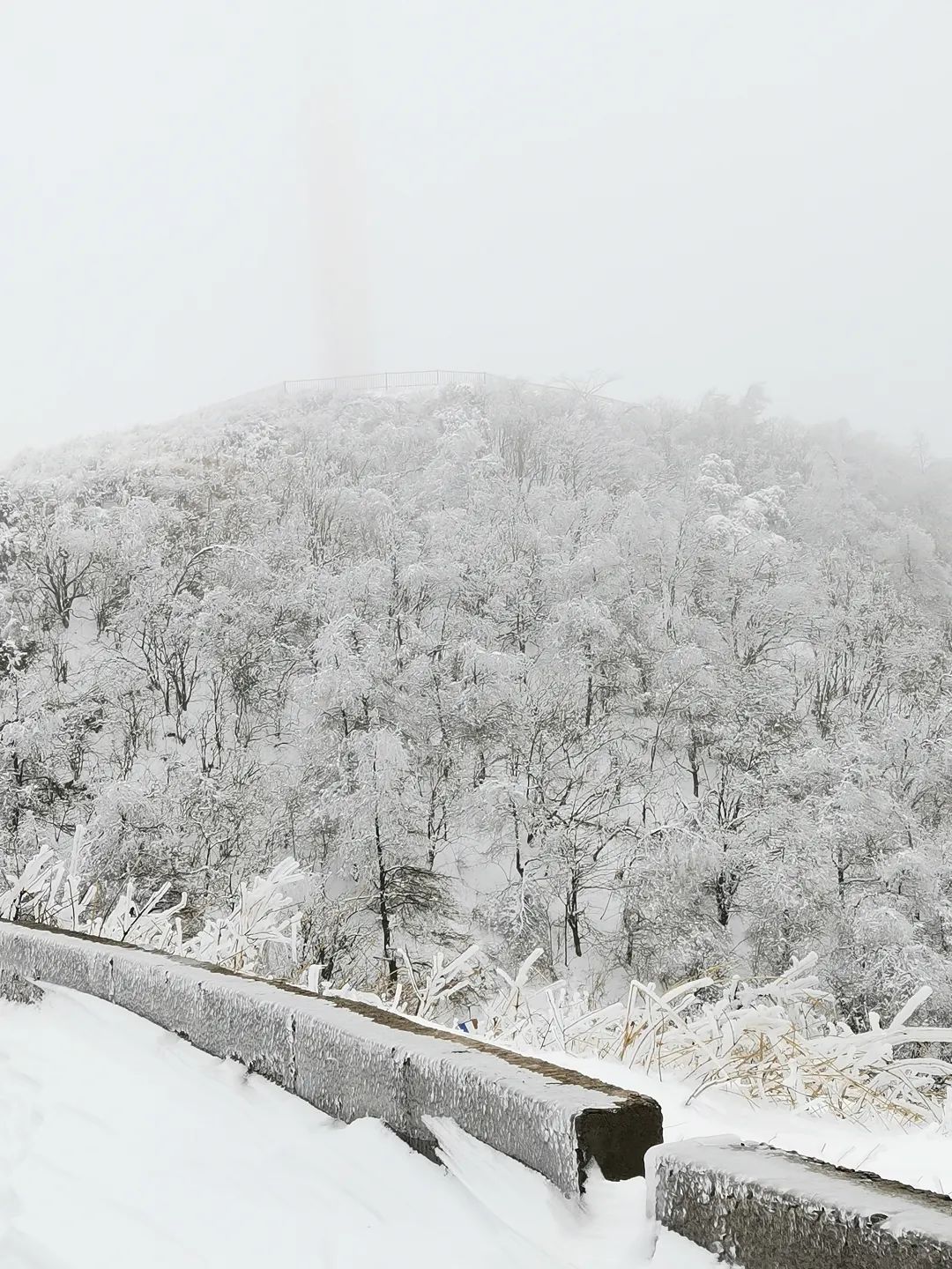 大熊山雪景图片