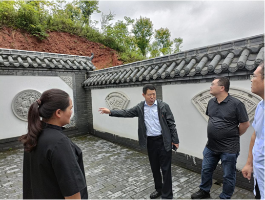 闫建新到泌阳县督导切坡建房地质灾害隐患排查治理工作