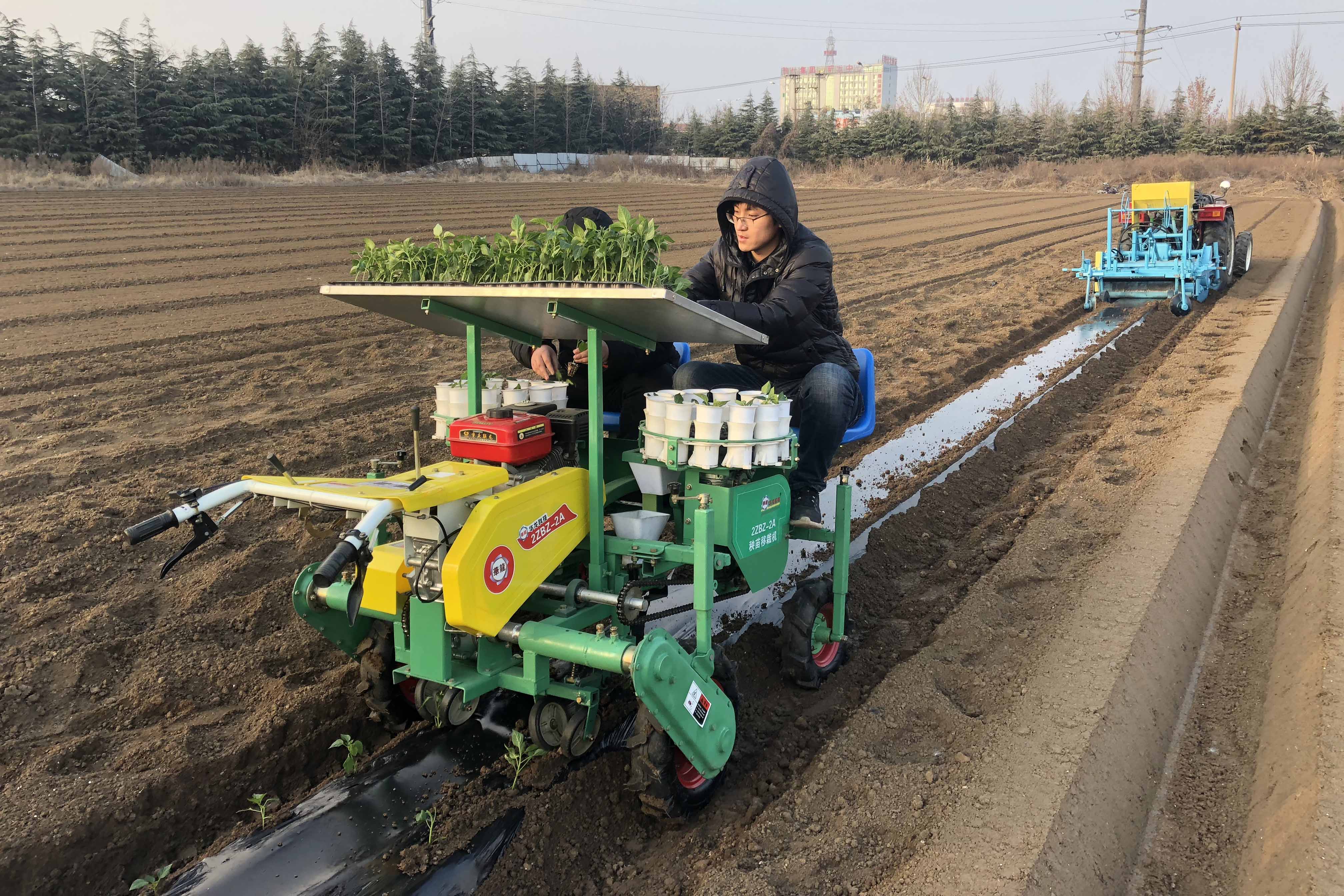 新型辣椒移栽机