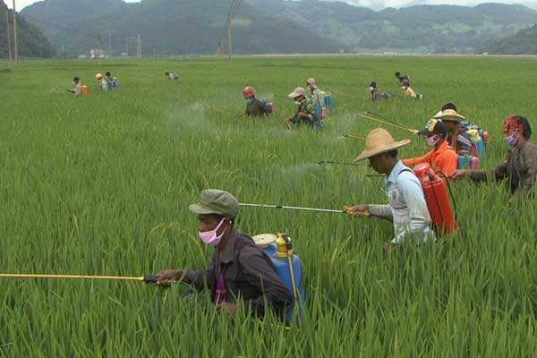 云南有害生物防治证上岗证考一本要多少费用如何报名打开方式