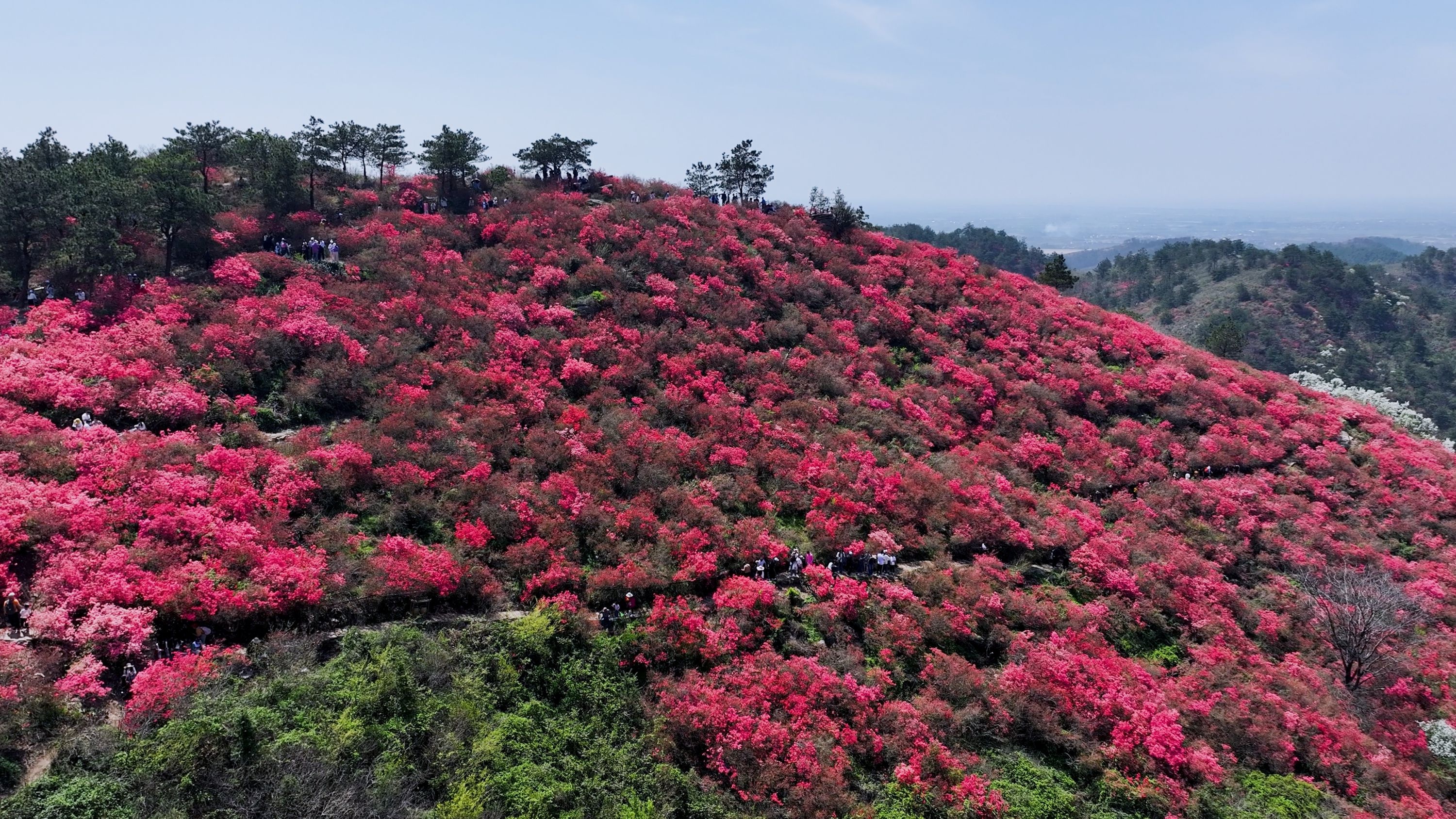 木兰云雾山图片图片