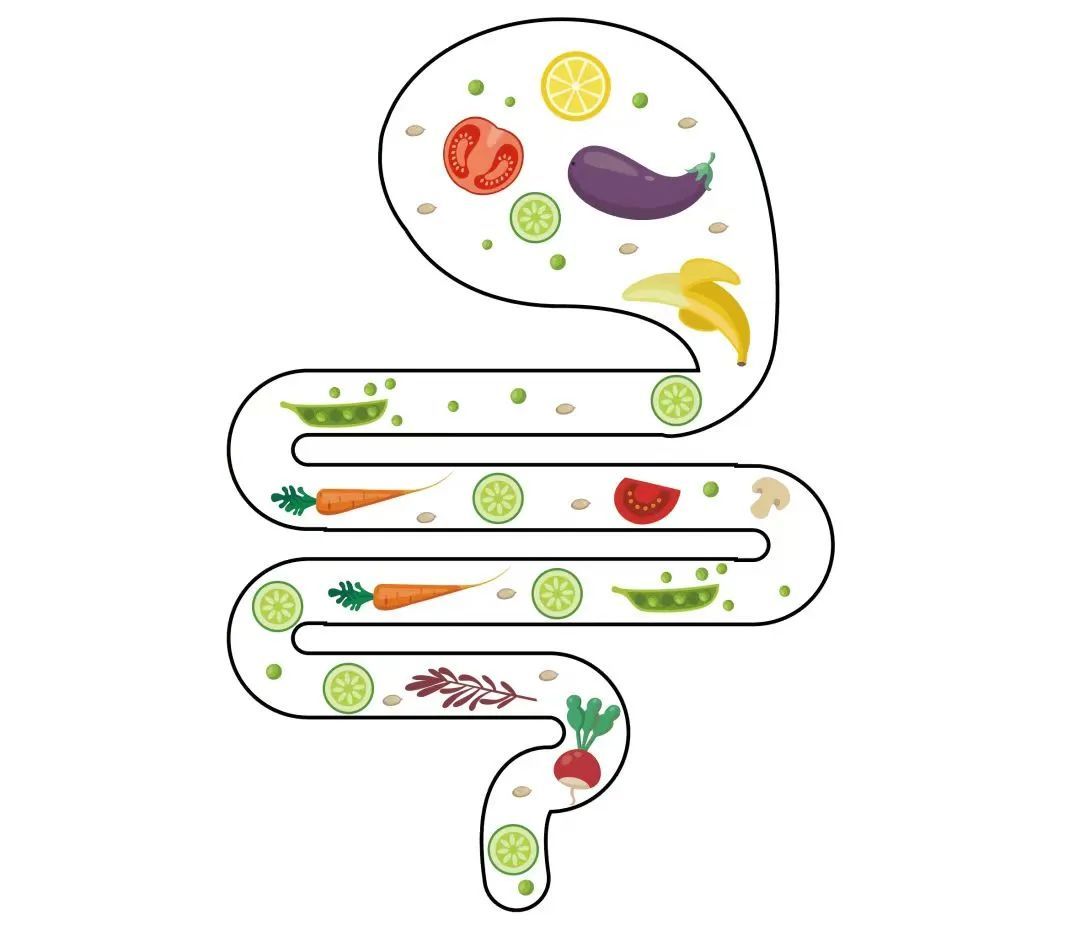 2023年肠道科普插画巡展和cccf公益集市首展在宝山这家医院拉开序幕!