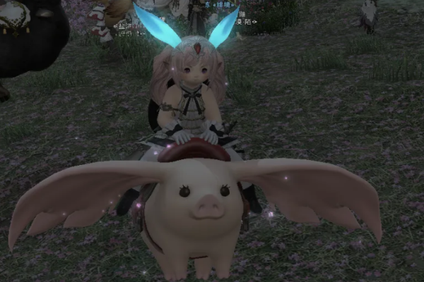 ff14猪区是哪个区