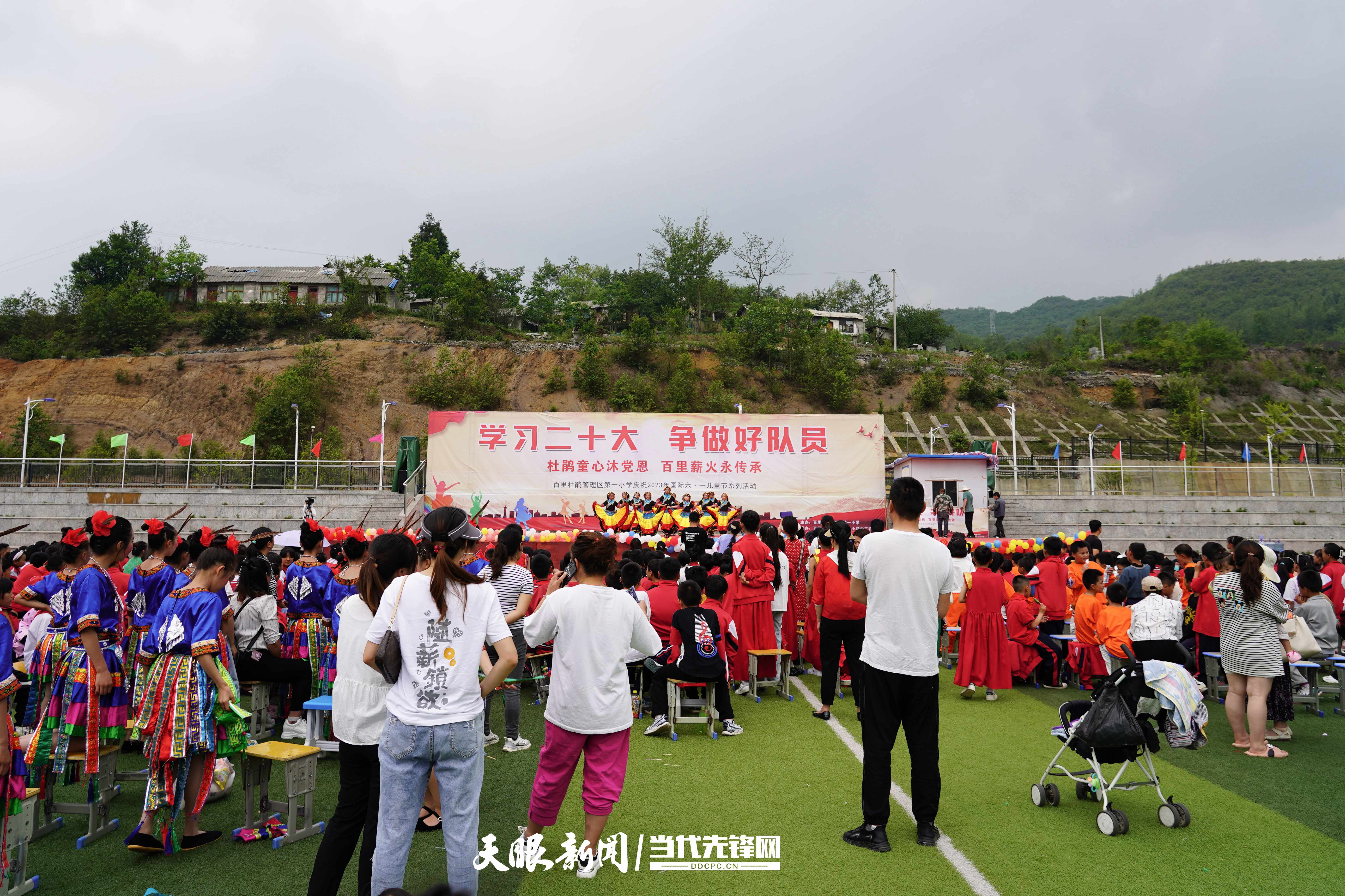 杜鹃园对口小学图片