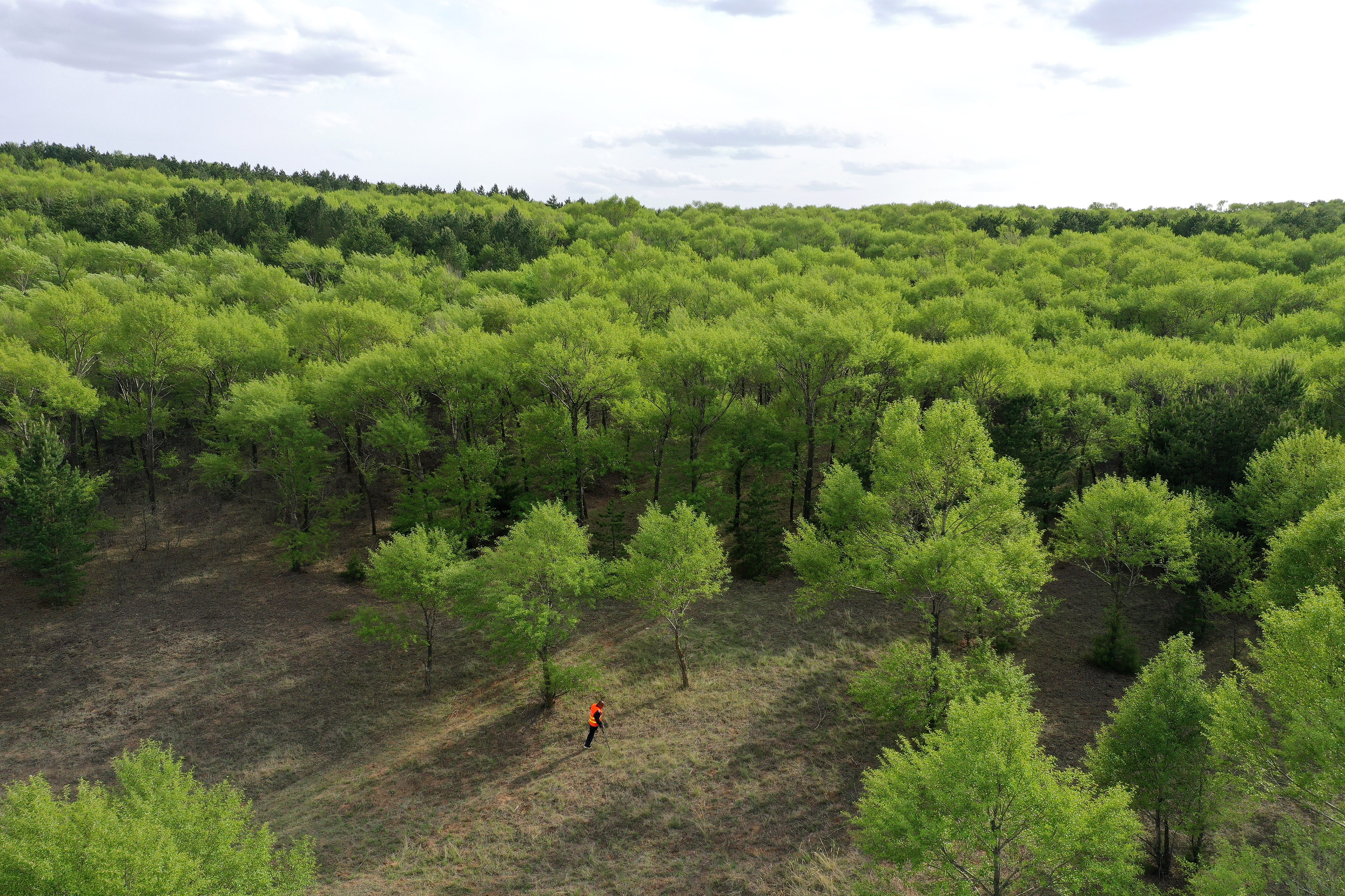 (新华全媒 )29年的守护 只为一片林海