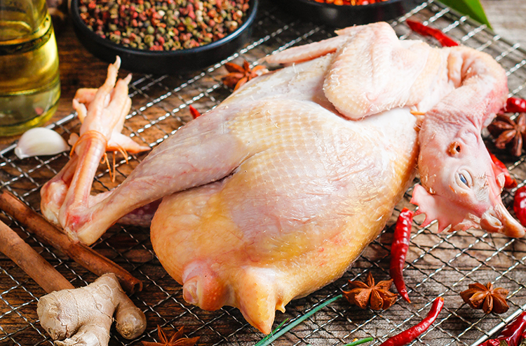 都说土鸡肉好吃,那该如何辨别土鸡呢?