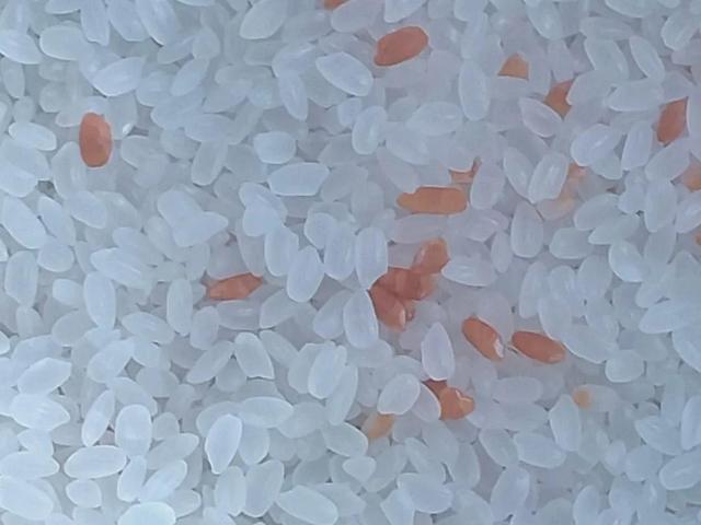 发现大米变红千万别吃,一定要赶紧丢掉!