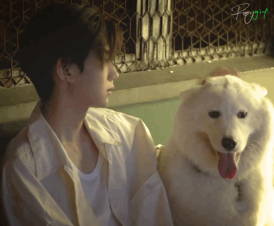 王源工作室的周末特别放送来袭,好想魂穿我们的锅妹啊