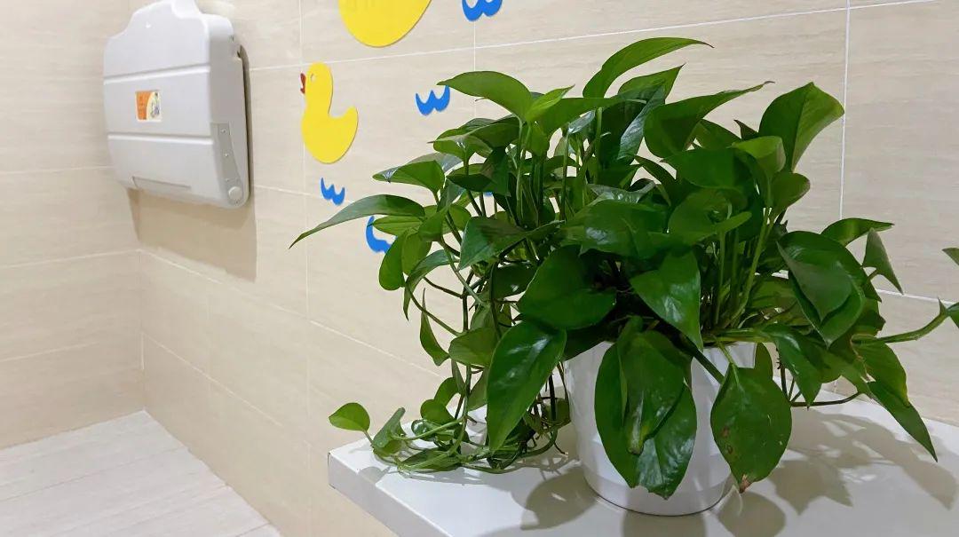 成都地铁上新便民举措,这些功能来了!