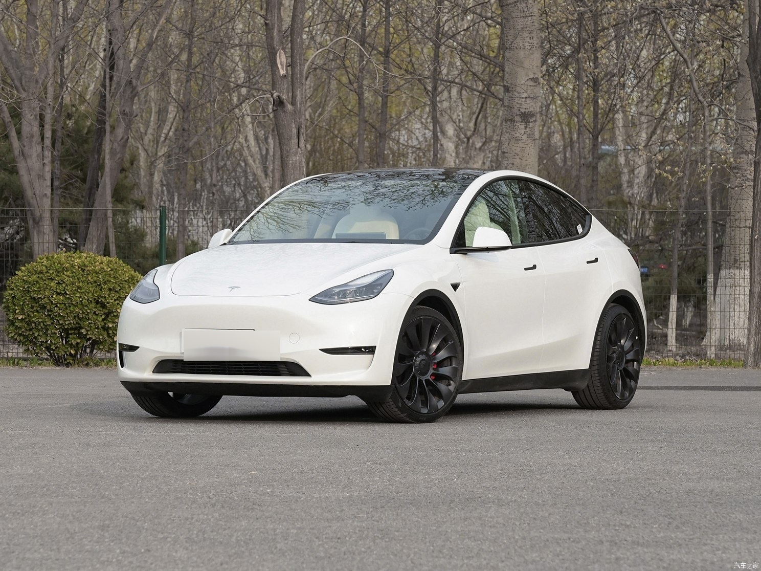 特斯拉model y2022款图片