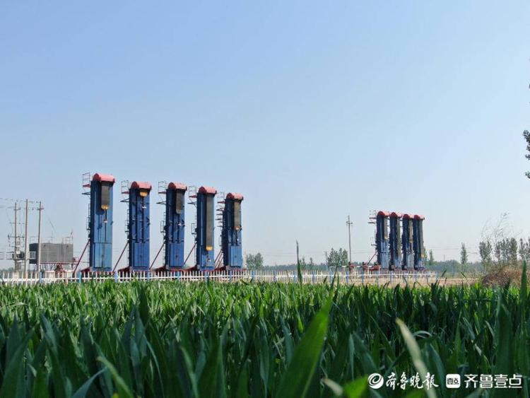 临盘采油厂50年发现6个油田,为国生产原油7215万吨