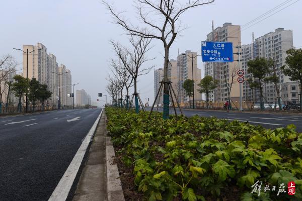 不用再绕道沪太路,潘广路宝山段通车啦!