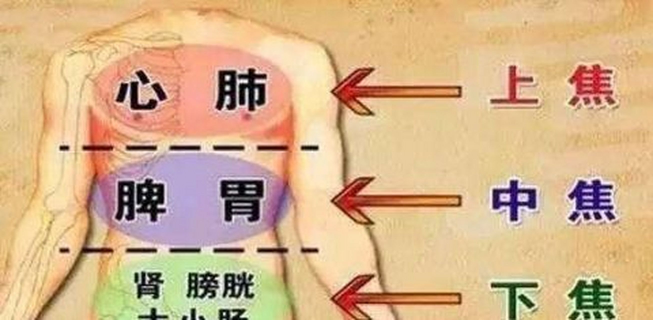 名词解释 【外眦】    又啡"锐眦",即外眼角.