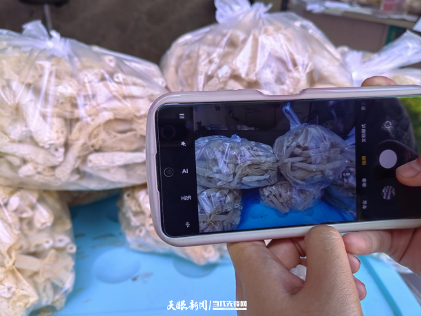 赤水市旺隆镇:林下竹荪采摘忙 村集体群众"双增收"