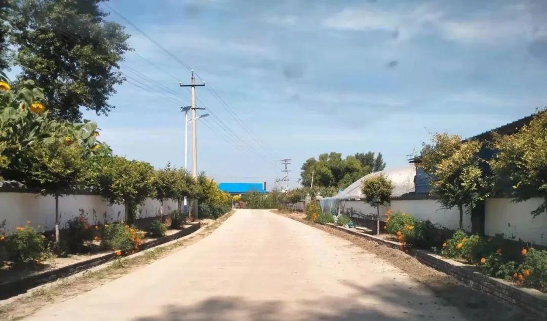 「乡村开新局 振兴谋新篇」永胜村:让村庄成为美丽新画卷