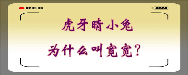 虎牙晴小兔为什么叫宽宽?
