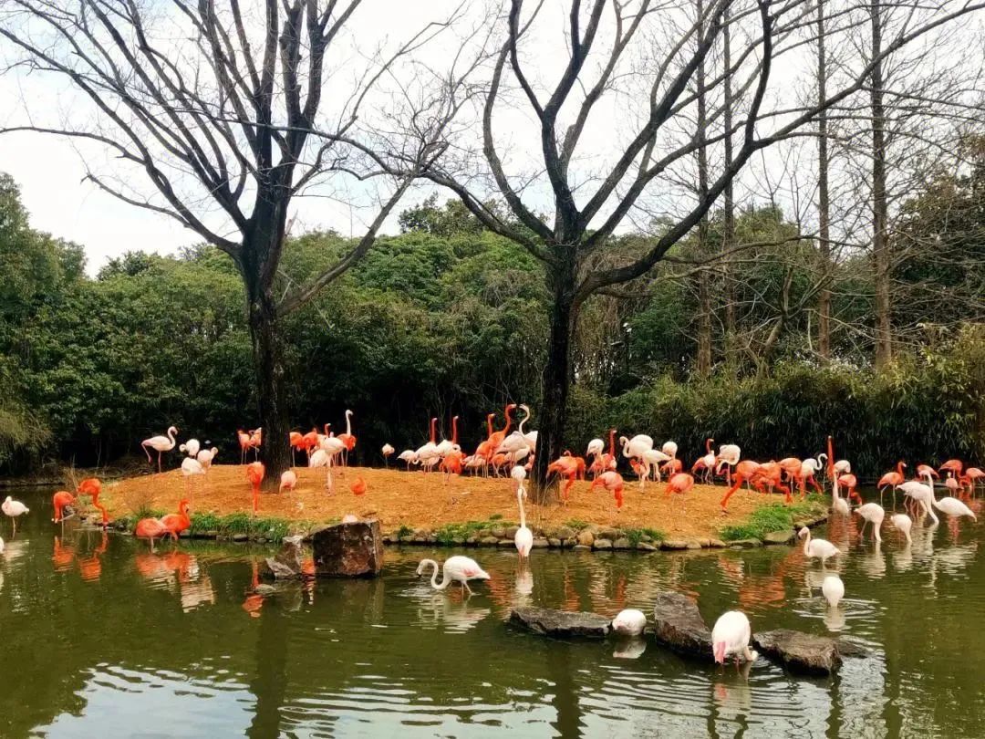 展览,繁育保护,科普教育与休闲娱乐为一体的主题公园,是国家5a级旅游