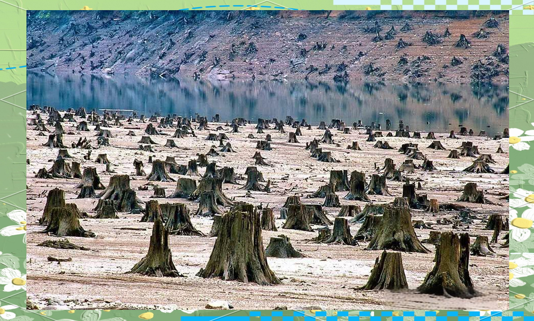 人类正在破坏地球的惊人证据