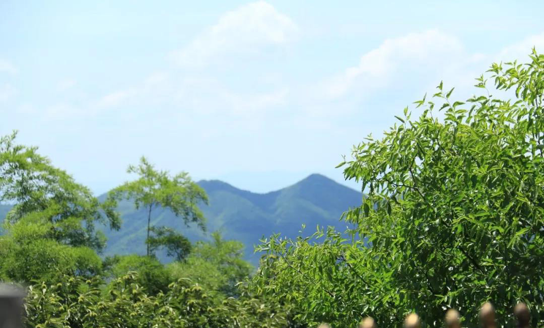 熊罴岭最好看的风景图片