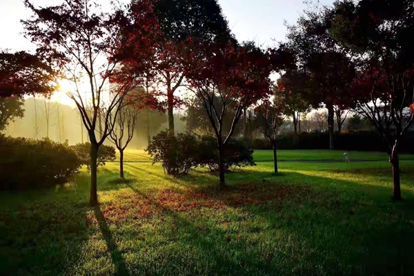 诗歌世界丨谭应林:看苍山万里 不变的是永远向上的初心
