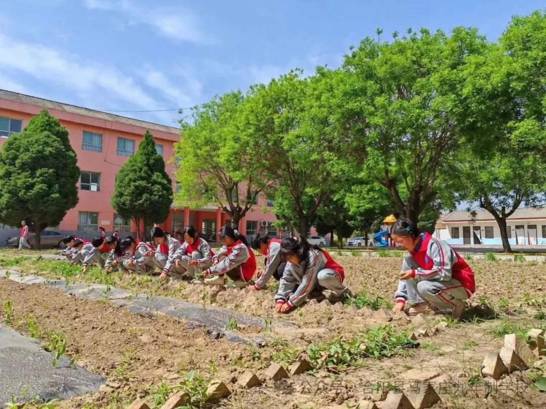 少年劳改学校图片