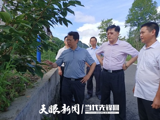 省林业局局长胡洪成率队到修文县六屯镇大木村调研乡村振兴工作
