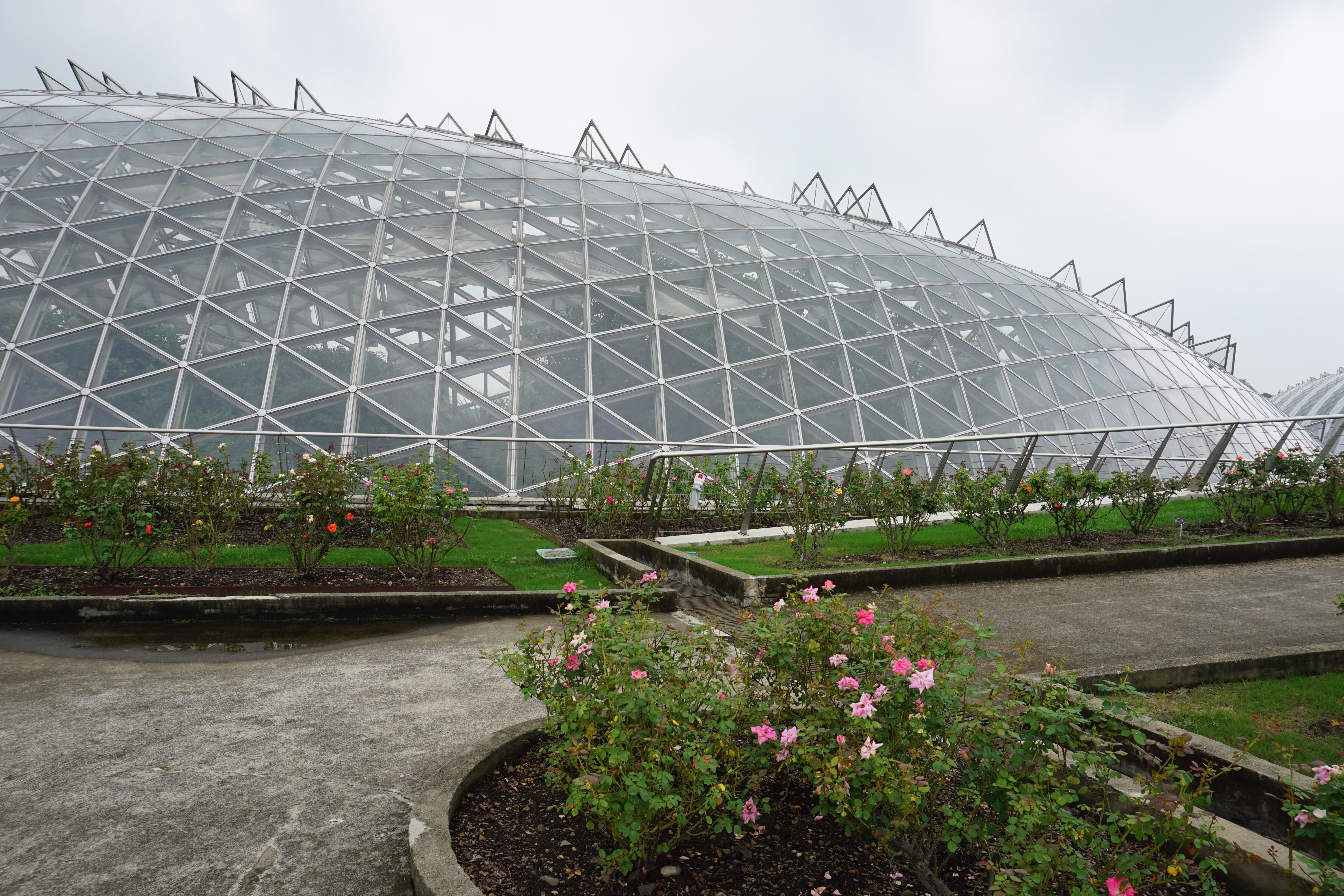 上海辰山植物园游玩攻略