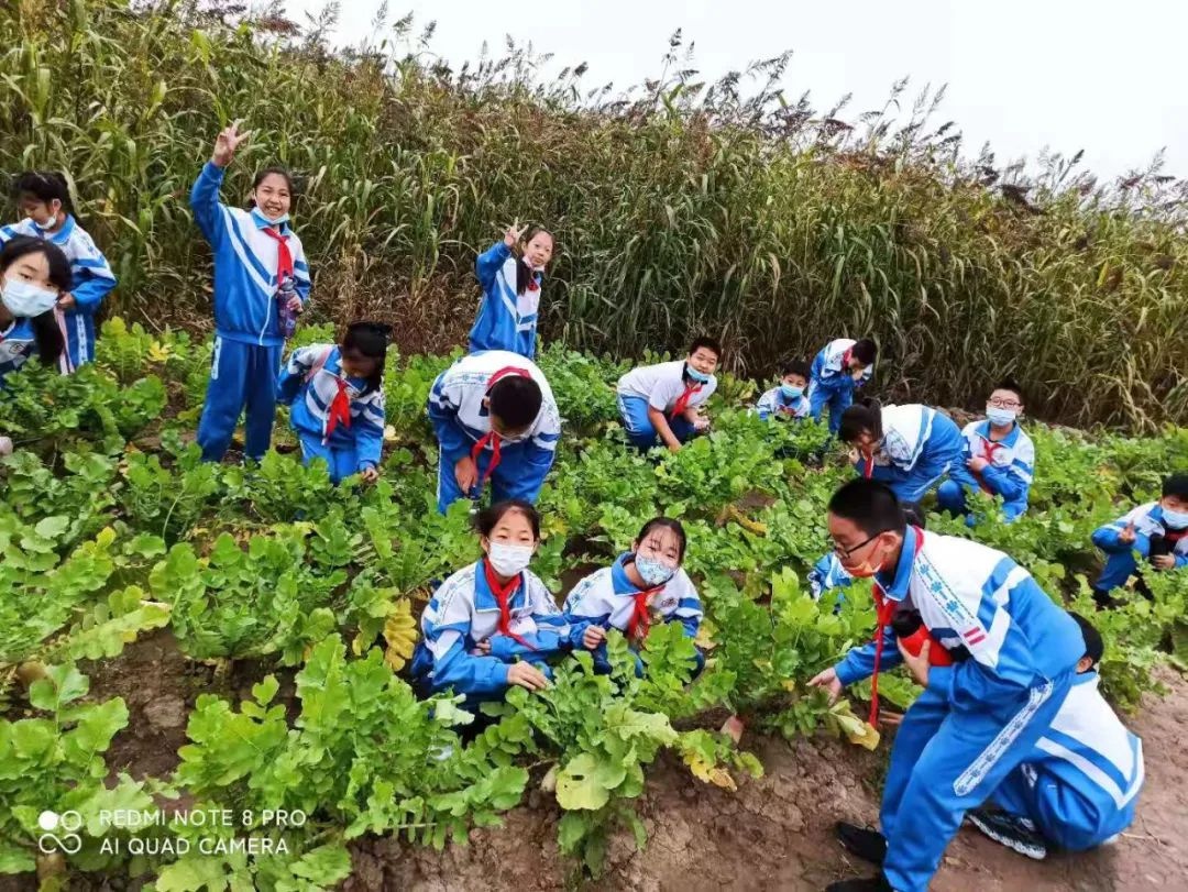 张家窝镇田丽小学开展"庆丰收 感党恩"丰收节社会实践教育活动