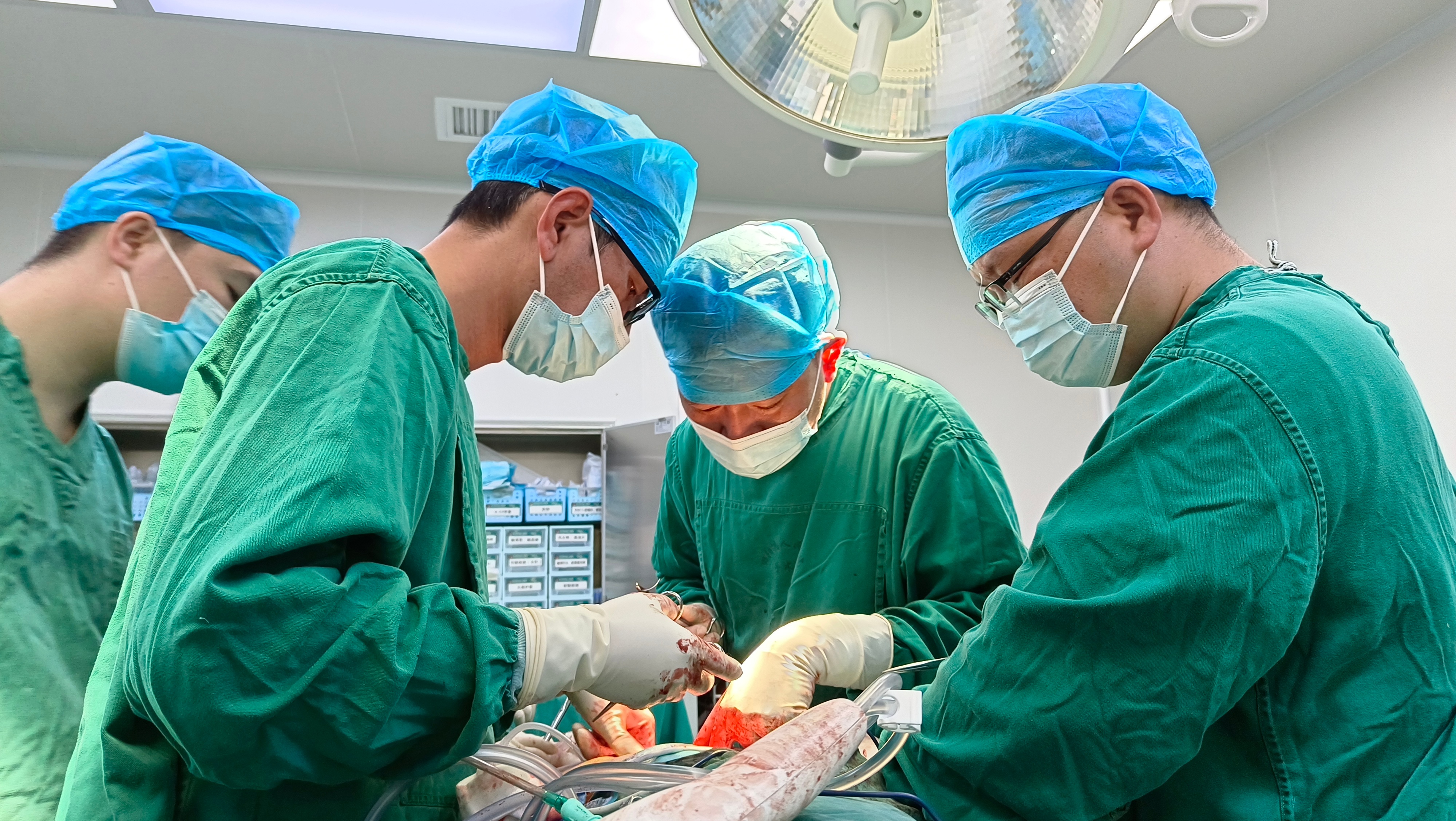 田阳区人民院成功开展首例股骨双动全髋关节置换术