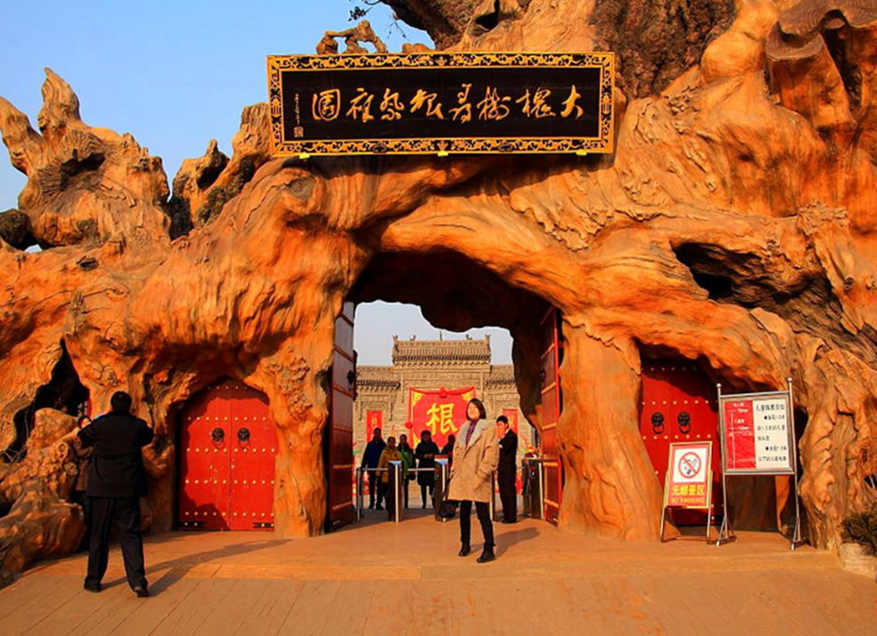 洪洞大槐树多少年了?洪洞大槐树具体在哪个位置?