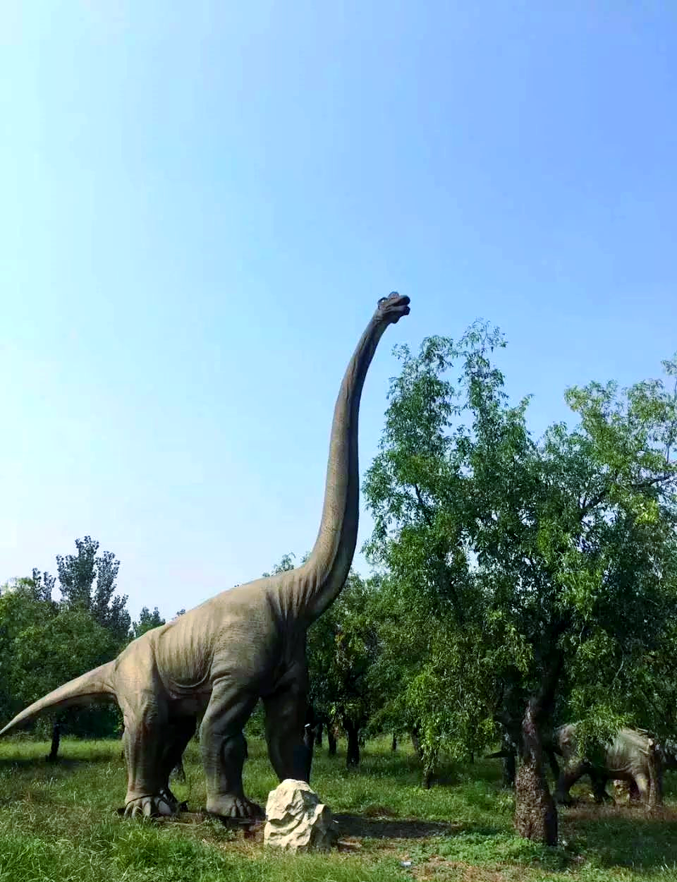 探索树顶的巨兽