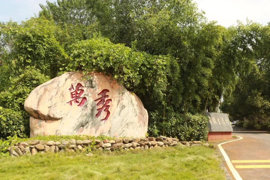 吹山风,晒太阳. 来鄂州感受平抚心灵的洗肺之旅