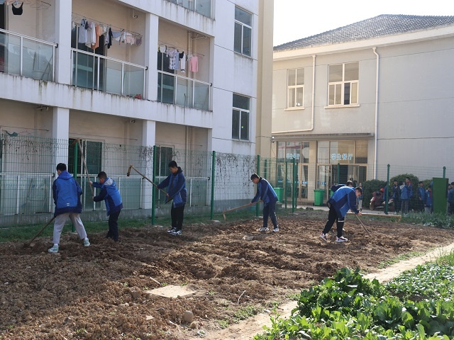 安吉县高禹中学开展"植树节,绿色环保"活动