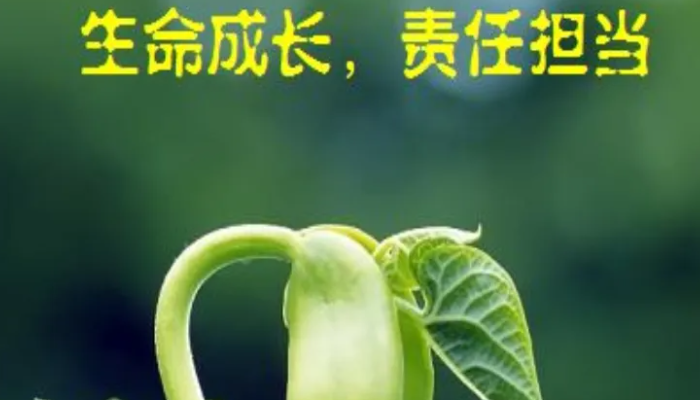 责任心强怎么描述