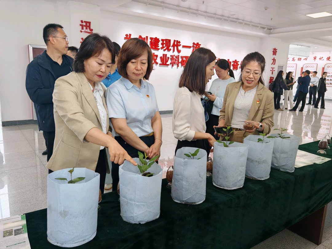 聚焦新质生产力！开放日解锁青岛农业科技创新“密钥” - 图5
