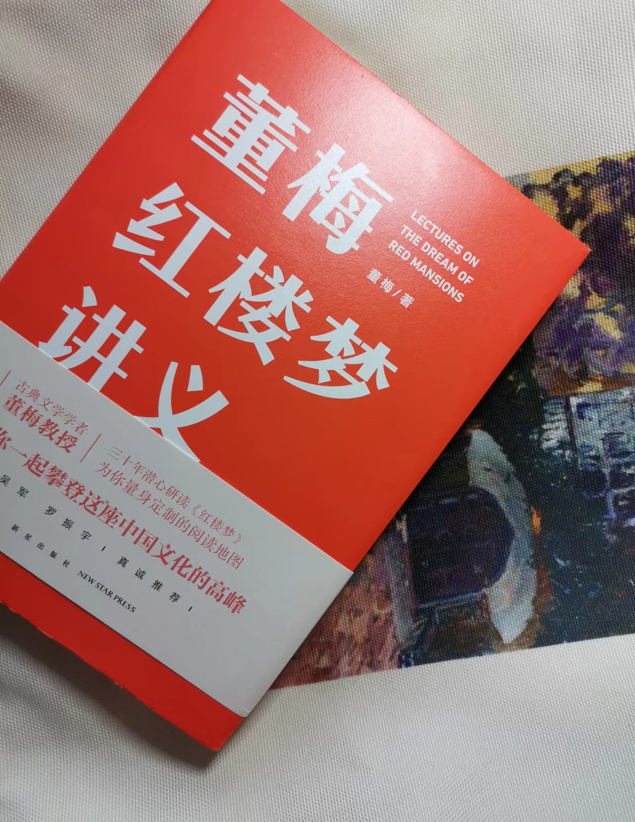 董梅红楼梦讲义:中国古典文学与思想文化的高峰