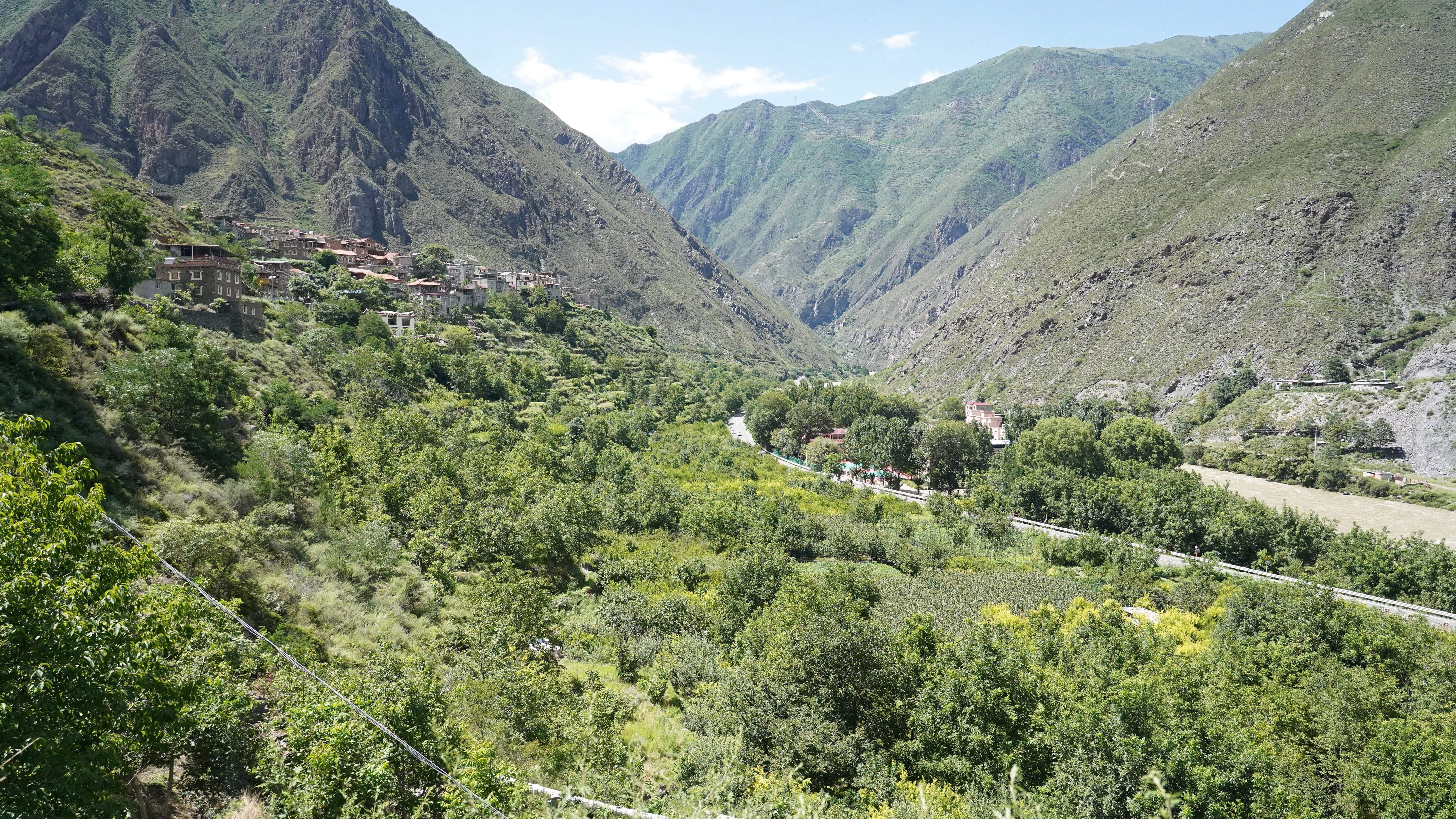 黑水县维古乡:特色水果抢"鲜"上市 "甜蜜经济"助农