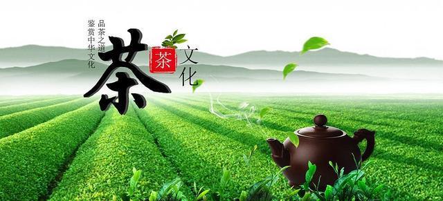 英山茶文化|茶仙苏轼与英山云雾茶