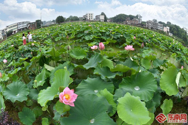 永不褪色的"中央苏区乌克兰"