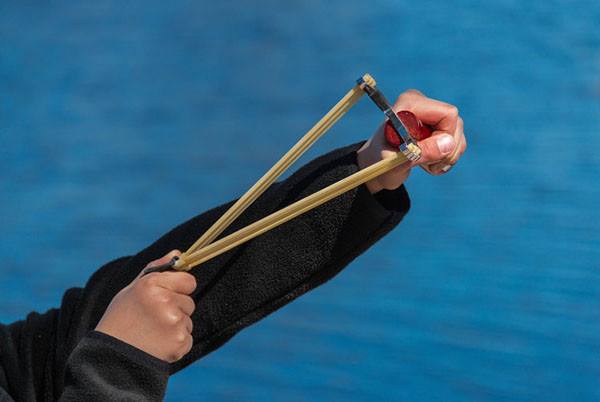 弹弓击中高铁,赔偿26万!辽宁一老师拿弹弓打鸟惹祸,真相来了