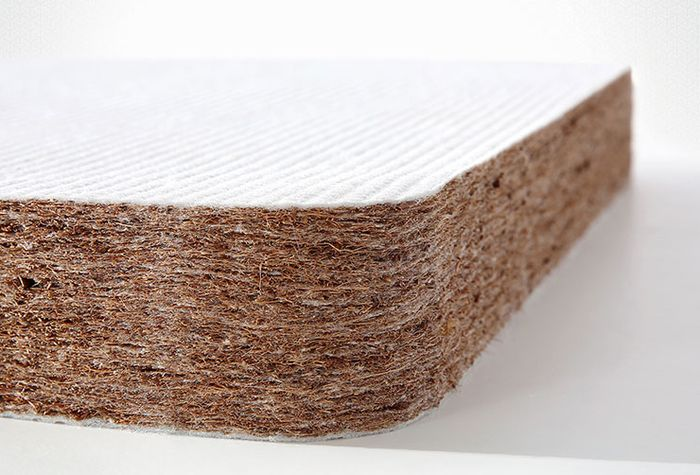 棕榈床垫会生虫吗?看完你就知道答案了