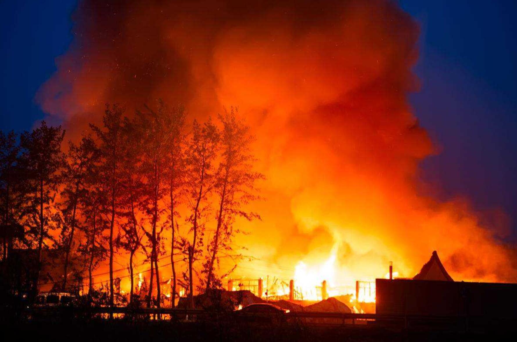 火势难以控制,美国西部大范围火灾,出现大量动物死亡