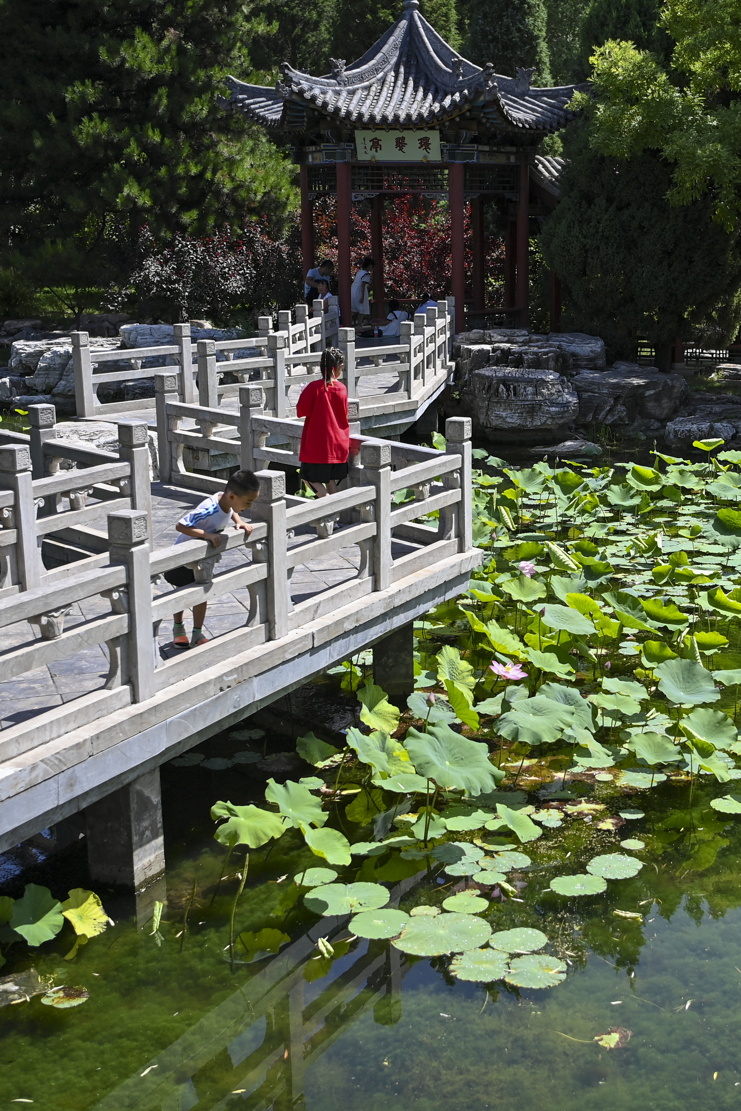 2471_3707竖版 竖屏