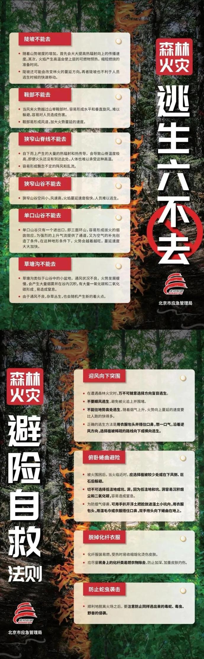 森林防火:森林火灾逃生自救"六不去"