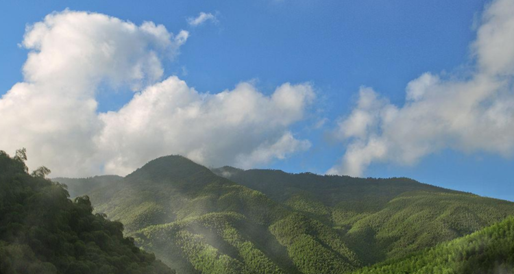 莫干山海拔最高多少米