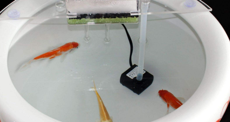 鱼缸出水口增氧教程