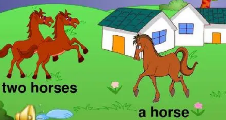 horses读音图片